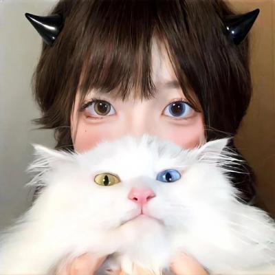 丢羊